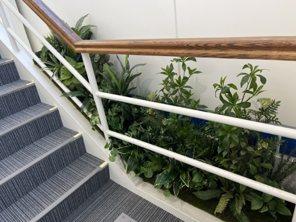 緑化オフィスの事例2